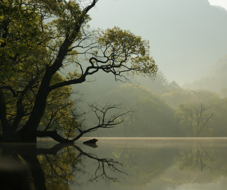 most beautiful psalms