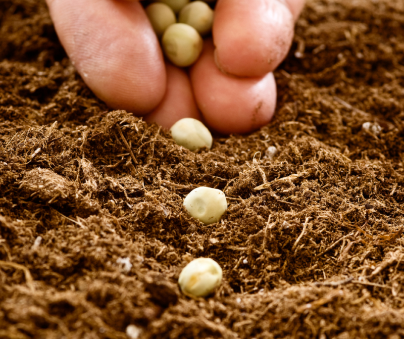 The Parable of the Talents 7 Essential Life Lessons Growing in Time