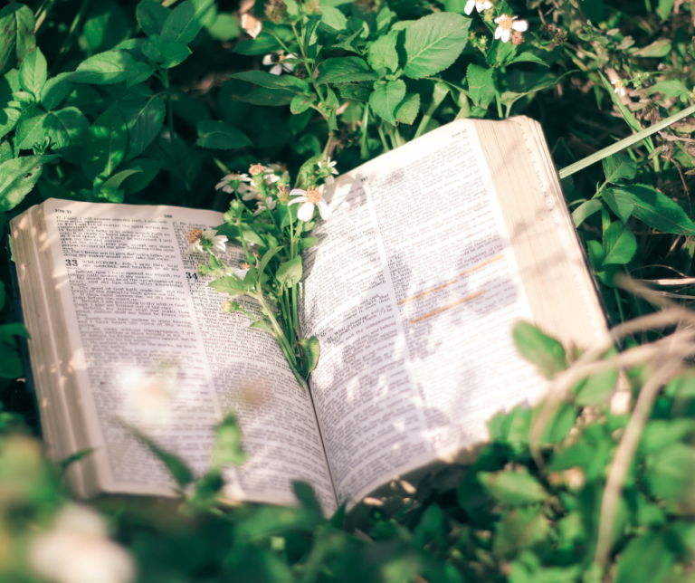 how to read the bible in a year