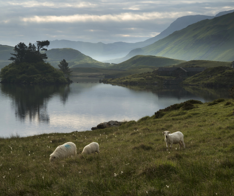 how to live out psalm 23