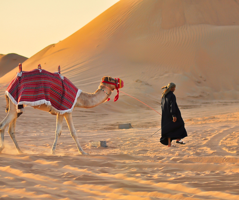lessons from the israelites in the wilderness
